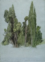 The Cypresses at the Villa d